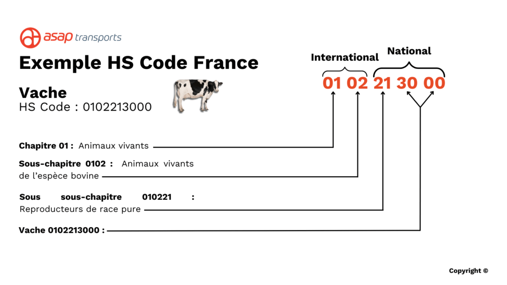 Exemple HS Code en France